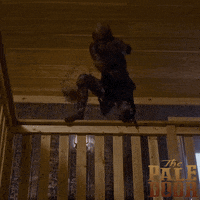 13 Reasons Why Movie GIF by AMP International