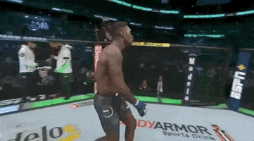 ufc sports sport ufc mma GIF