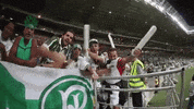 allianz parque GIF by SE Palmeiras