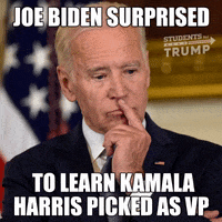 GIF by Students for Trump