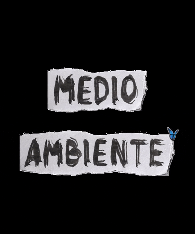 bannabafest  GIF