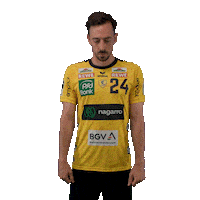 Handball Rnl Sticker by DAIKIN HBL
