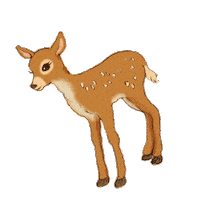 Deer Woodland Creatures Sticker by Harveys Seatbelt Bag