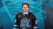 San Jose Yes GIF by San Jose Barracuda