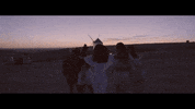 friends travel GIF by Ventino