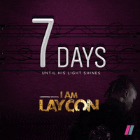 Big Brother Naija Bbnaija GIF by Showmax