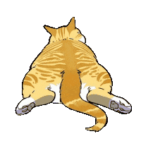 Cats Taphere Sticker
