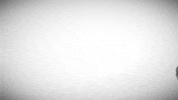 Film Photography GIF by 3KOMMA3 Medienproduktion