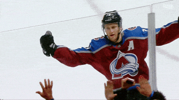 Lets Go Game GIF by Colorado Avalanche