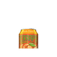 India Pale Ale Craft Beer Sticker by Terrapin Beer Co.