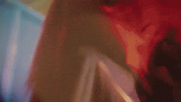 horse hors avey tare farmwave GIF