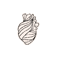 Corazon Sticker by FIBRA BRANDING