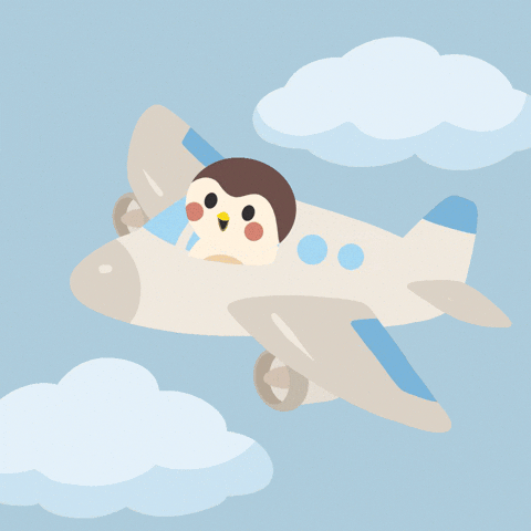 Happy Air Travel GIF by Finch Care