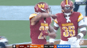 Regular Season Football GIF by NFL