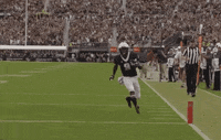 Eagles Ak GIF by UCF Knights