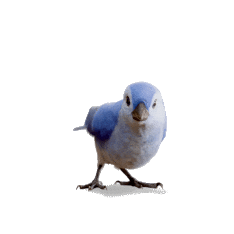 Snow White 3D Sticker by Walt Disney Studios