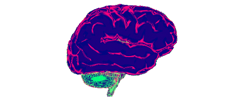 Brain Sticker by badblueprints