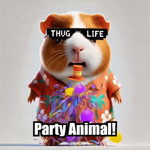 Guinea Pig Party GIF by Guinea Gambino