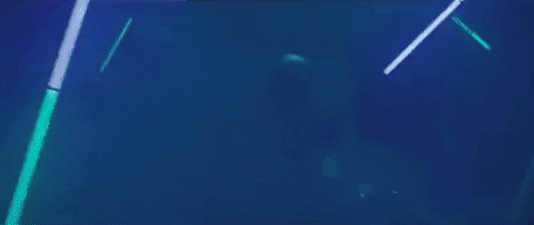 Read High School GIF by Livingston