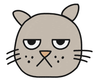 Grumpy Cat GIF by Thank You Coffee