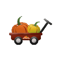 Pumpkin Patch Halloween Sticker by Il giardino delle zucche pp