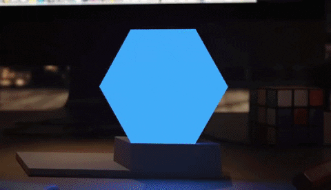 kashonastosling giphygifmaker GIF