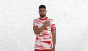 No Way Good Job GIF by RB Leipzig
