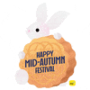 White Rabbit Festival GIF by Digi
