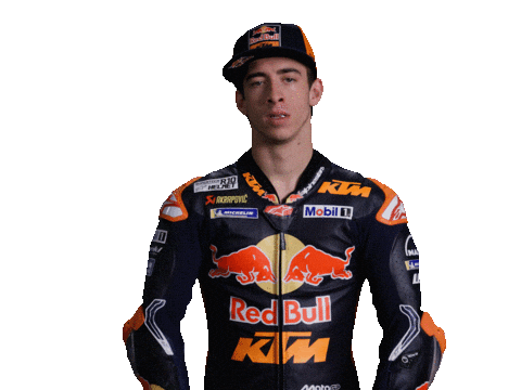 Pedro Acosta Racing Sticker by MotoGP™
