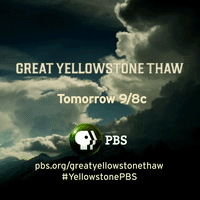 GIF by PBS