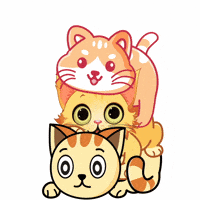International Cat Day Love GIF by My Girly Unicorn