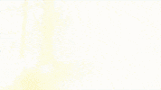 Munster GIF by tretty_sharing