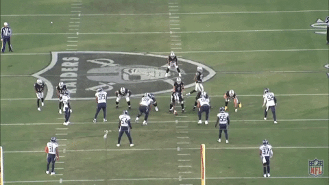 nfalato11 giphyupload GIF