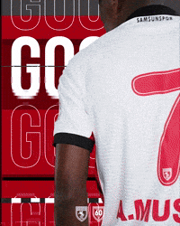 King Of The North GIF by SAMSUNSPOR