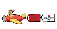 World Cup Flag Sticker by HotDogs