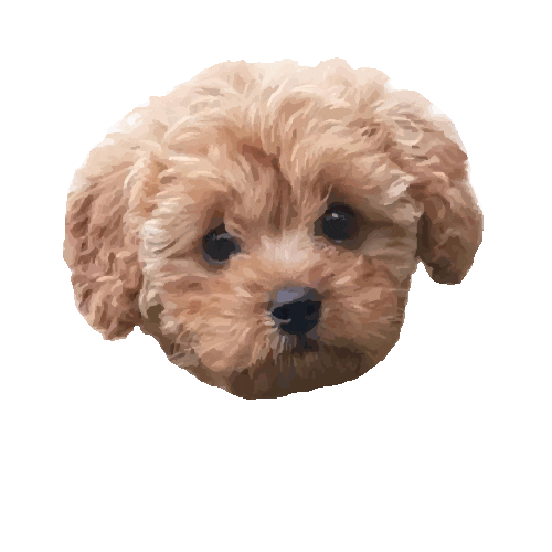 Dog Puppy Sticker