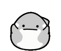 Orca Sticker