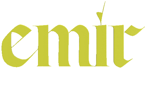 sonymusicno giphyupload emir forsvinner luftslott Sticker