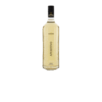 gamondi spirits americano 1890 gamondi Sticker