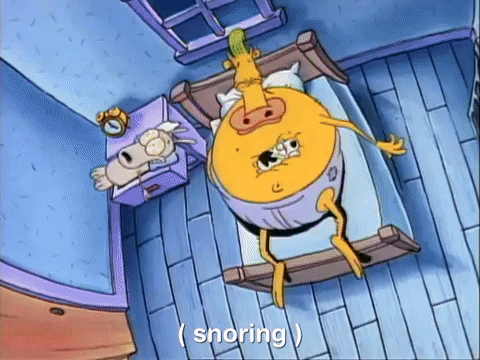 rockos modern life nicksplat GIF