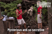 Imacelebrityau GIF by I'm A Celebrity... Get Me Out Of Here! Australia