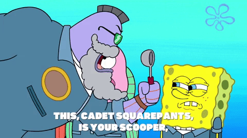 season 9 episode 3 GIF by SpongeBob SquarePants