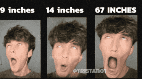 Scp 096 9 Inches GIF