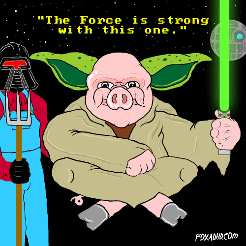 Star Wars Fox GIF by gifnews