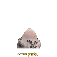 Dino Sticker by Almere Jungle