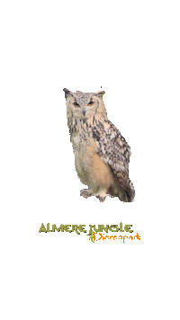 I See You Uil Sticker by Almere Jungle