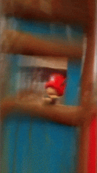 Chop Chopper GIF by Youtooz