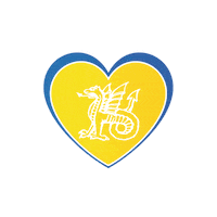 Carnaval Vastelaovend Sticker by CV de Drake