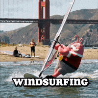 Windsurfing GIF by LobsterClaus