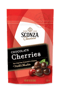 Pumpkin Spice Sticker by Sconza Chocolates